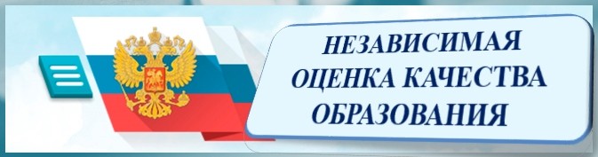p173_noko2.jpg